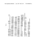 Antibodies to Thymic Stromal Lymphopoietin (TSLP) Receptor Molecules and     Uses Thereof diagram and image