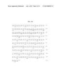 Antibodies to Thymic Stromal Lymphopoietin (TSLP) Receptor Molecules and     Uses Thereof diagram and image