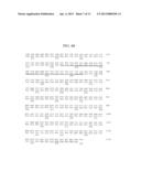 Antibodies to Thymic Stromal Lymphopoietin (TSLP) Receptor Molecules and     Uses Thereof diagram and image