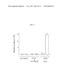 Antibodies to Thymic Stromal Lymphopoietin (TSLP) Receptor Molecules and     Uses Thereof diagram and image