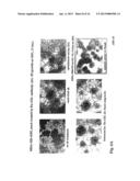 DIAGNOSIS AND PREVENTION OF CANCER CELL INVASION diagram and image