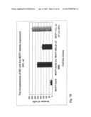 DIAGNOSIS AND PREVENTION OF CANCER CELL INVASION diagram and image