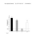 VACCINE AND METHODS TO REDUCE CAMPYLOBACTER INFECTION diagram and image