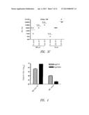 VACCINE COMPOSITION CONTAINING SYNTHETIC ADJUVANT diagram and image