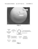 NANOPARTICLES FOR DELIVERY OF BIOACTIVE AGENTS diagram and image