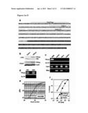 POLYNUCLEOTIDE ENCODING A TRIM-CYP POLYPEPTIDE, COMPOSITIONS THEREOF, AND     METHODS OF USING SAME diagram and image