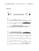 POLYNUCLEOTIDE ENCODING A TRIM-CYP POLYPEPTIDE, COMPOSITIONS THEREOF, AND     METHODS OF USING SAME diagram and image