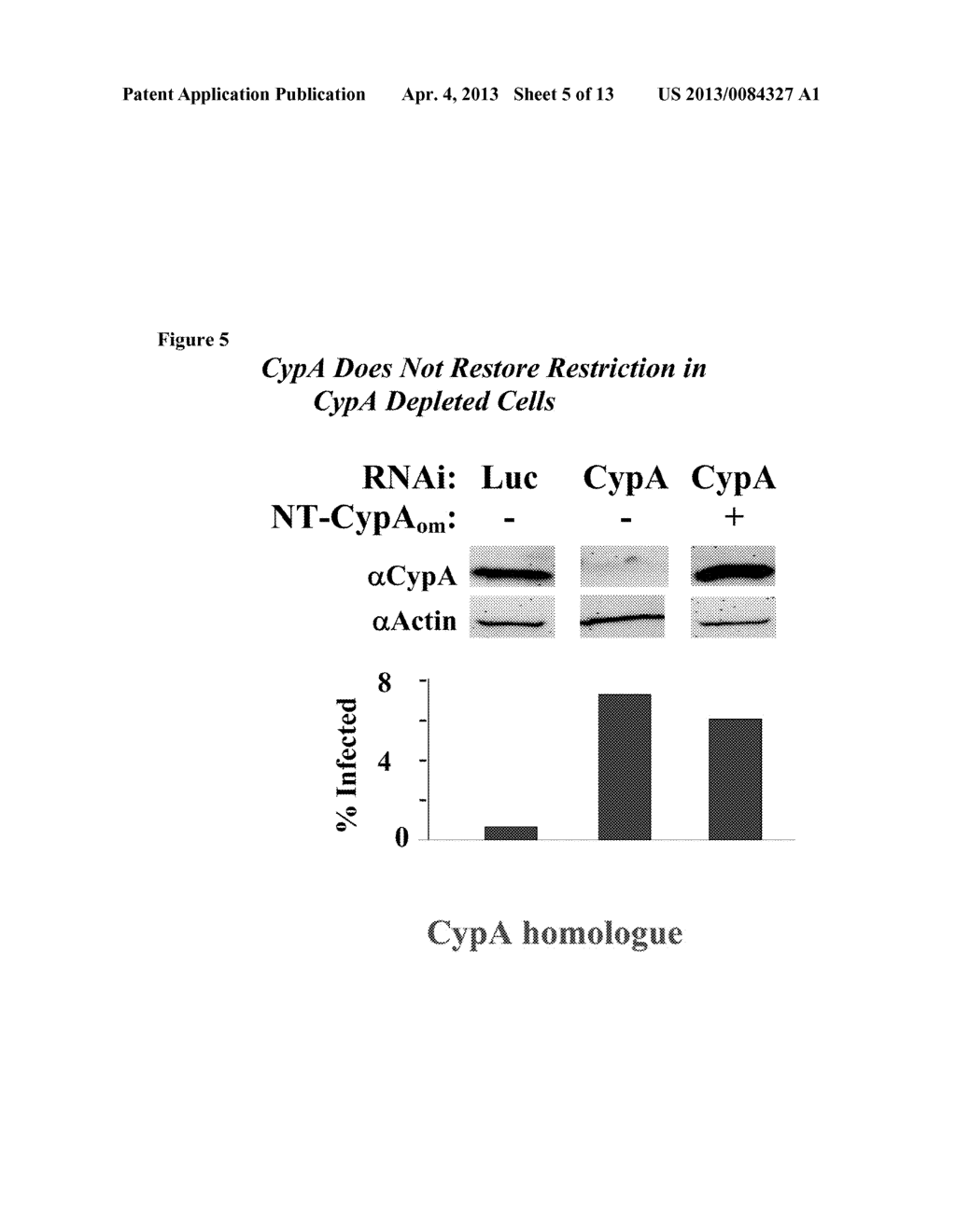 POLYNUCLEOTIDE ENCODING A TRIM-CYP POLYPEPTIDE, COMPOSITIONS THEREOF, AND     METHODS OF USING SAME - diagram, schematic, and image 06