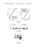 POLYNUCLEOTIDE ENCODING A TRIM-CYP POLYPEPTIDE, COMPOSITIONS THEREOF, AND     METHODS OF USING SAME diagram and image