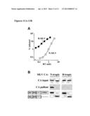 POLYNUCLEOTIDE ENCODING A TRIM-CYP POLYPEPTIDE, COMPOSITIONS THEREOF, AND     METHODS OF USING SAME diagram and image