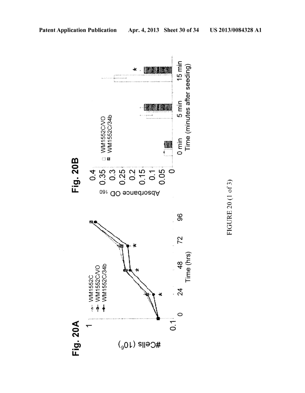 METHYLATED CODING AND NON-CODING RNA GENES AS DIAGNOSTIC AND THERAPEUTIC     TOOLS FOR HUMAN MELANOMA - diagram, schematic, and image 31