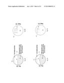 PREVENTION OF PARTICLE ADDERS WHEN CONTACTING A LIQUID MENISCUS OVER A     SUBSTRATE diagram and image