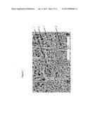 Expandable Functional TFE Copolymer Fine Powder, Expanded Products and     Reacted Products Therefrom diagram and image