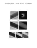 Inorganic Nanostructure-Organic Polymer Heterostructures Useful for     Thermoelectric Devices diagram and image