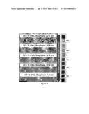 Inorganic Nanostructure-Organic Polymer Heterostructures Useful for     Thermoelectric Devices diagram and image