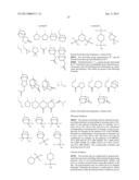 RESIST PROTECTIVE FILM-FORMING COMPOSITION AND PATTERNING PROCESS diagram and image