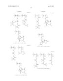 RESIST PROTECTIVE FILM-FORMING COMPOSITION AND PATTERNING PROCESS diagram and image