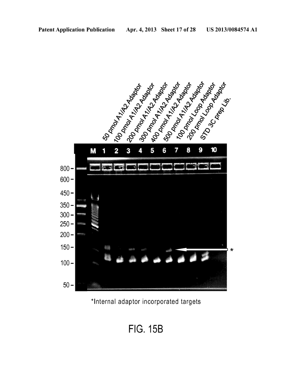 Chromosome Conformation Analysis - diagram, schematic, and image 18