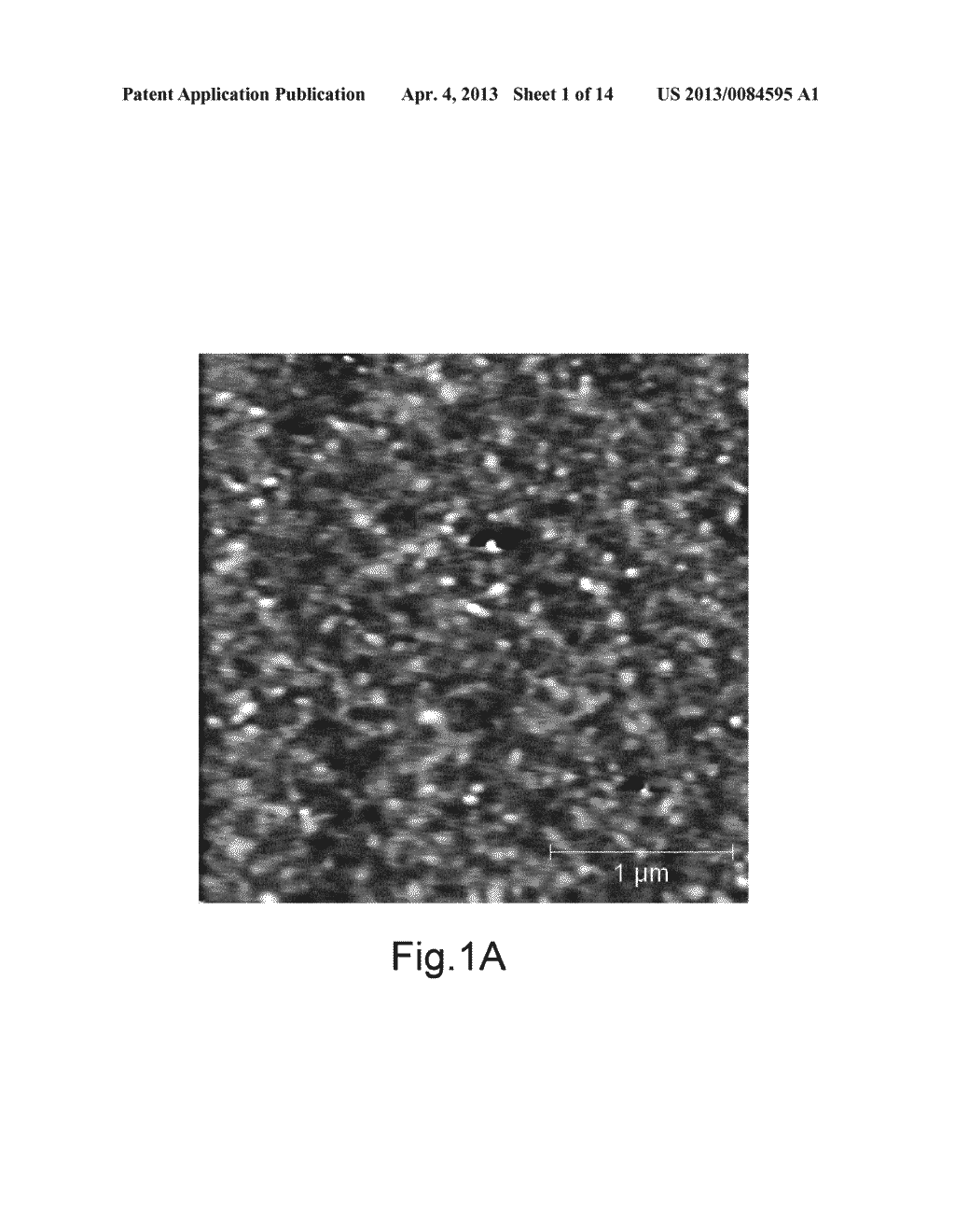 PLATFORM COMPRISING AN ORGANIC FIELD-EFFECT TRANSISTOR FOR BIOLOGICAL AND     MEDICAL APPLICATIONS - diagram, schematic, and image 02