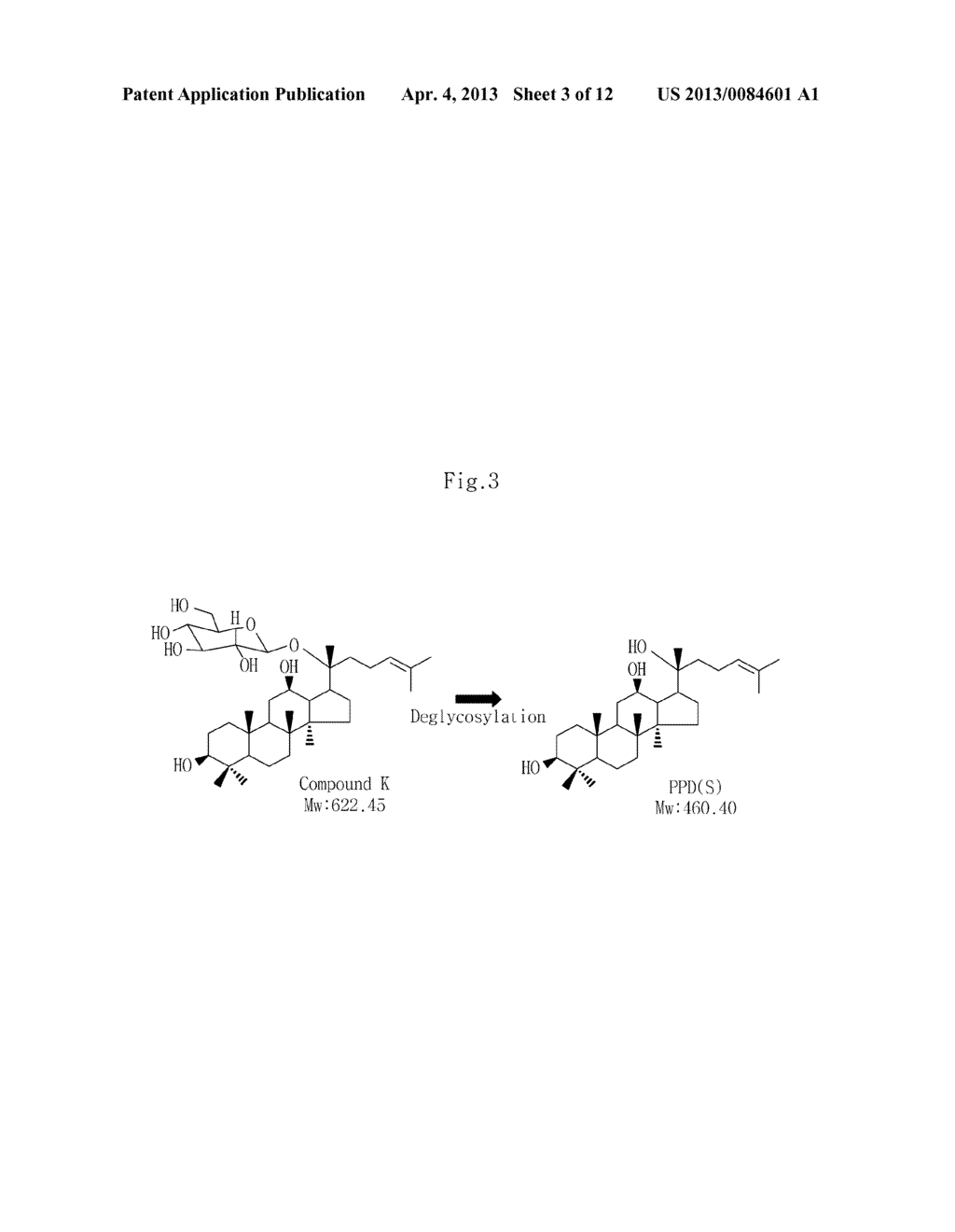 NOVEL SOIL MICROORGANISM, NOVEL OXIDOREDUCTASE SEPARATED FROM THE SOIL     MICROORGANISM, GENE ENCODING THE OXIDOREDUCTASE, AND METHOD FOR PRODUCING     AGLYCONES USING THE MICROORGANISM, THE OXIDOREDUCTASE AND THE GENE - diagram, schematic, and image 04