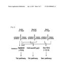 SOLUBLE EXPRESSION OF BULKY FOLDED ACTIVE PROTEINS diagram and image