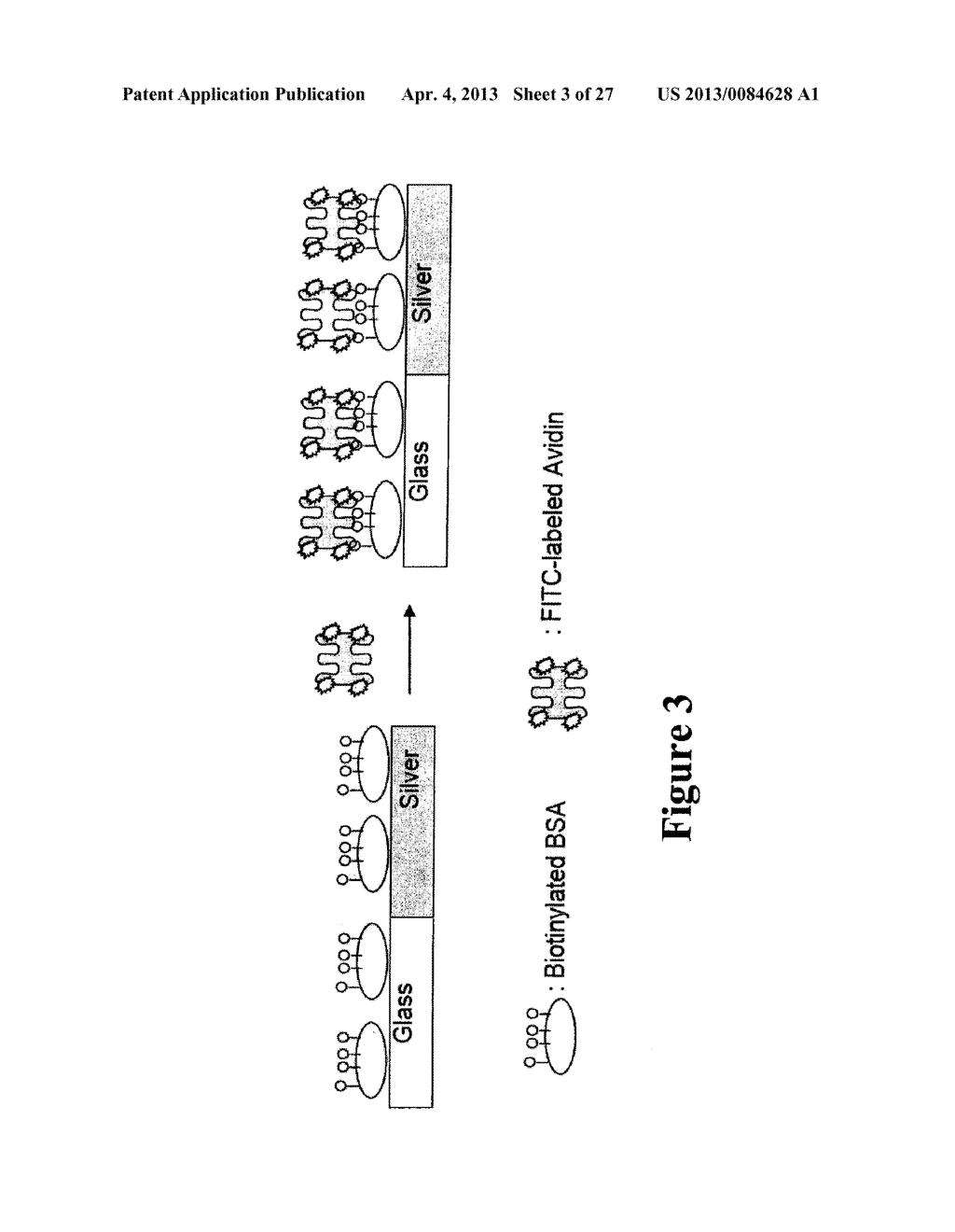 MICROWAVE ACCELERATED ASSAYS - diagram, schematic, and image 04