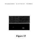 MICROWAVE ACCELERATED ASSAYS diagram and image