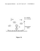 MICROWAVE ACCELERATED ASSAYS diagram and image