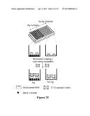 MICROWAVE ACCELERATED ASSAYS diagram and image