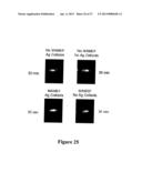 MICROWAVE ACCELERATED ASSAYS diagram and image