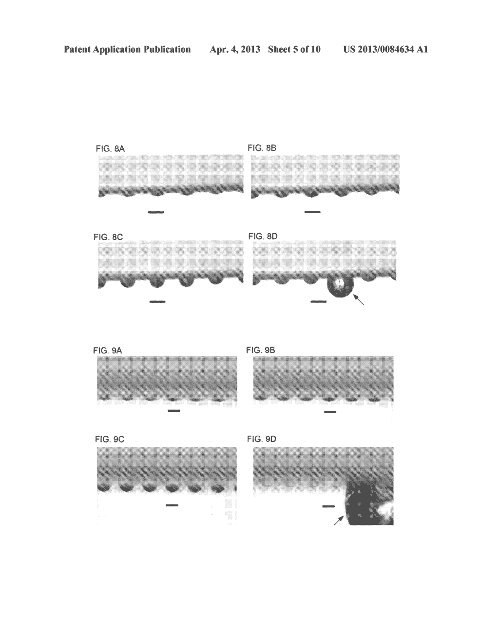 MICROFLUIDIC HANGING DROP CHIP - diagram, schematic, and image 06