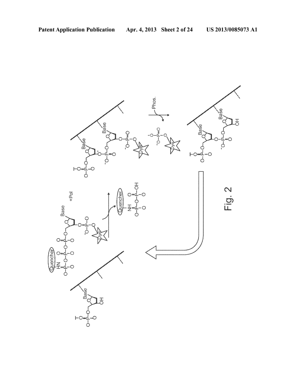 CONTINUOUS EXTENSION AND DEBLOCKING IN REACTIONS FOR NUCLLEIC ACIDS     SYNTHESIS AND SEQUENCING - diagram, schematic, and image 03