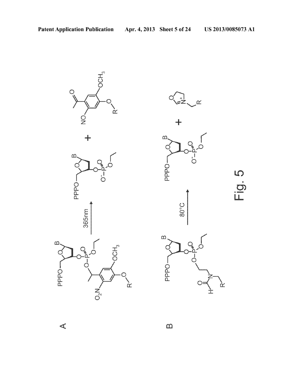 CONTINUOUS EXTENSION AND DEBLOCKING IN REACTIONS FOR NUCLLEIC ACIDS     SYNTHESIS AND SEQUENCING - diagram, schematic, and image 06