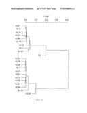 Antibody Categorization Based on Binding Characteristics diagram and image