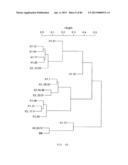 Antibody Categorization Based on Binding Characteristics diagram and image