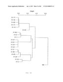 Antibody Categorization Based on Binding Characteristics diagram and image