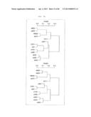 Antibody Categorization Based on Binding Characteristics diagram and image