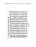 Antibody Categorization Based on Binding Characteristics diagram and image