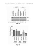 MicroRNA-Based Methods and Compositions for the Diagnosis, Prognosis and     Treatment of Prostate Related Disorders diagram and image