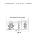 MicroRNA-Based Methods and Compositions for the Diagnosis, Prognosis and     Treatment of Prostate Related Disorders diagram and image