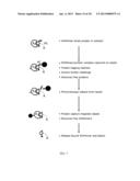 Cardiovascular Risk Event Prediction and Uses Thereof diagram and image