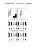 METHODS FOR HAPLOTYPING SINGLE CELLS diagram and image