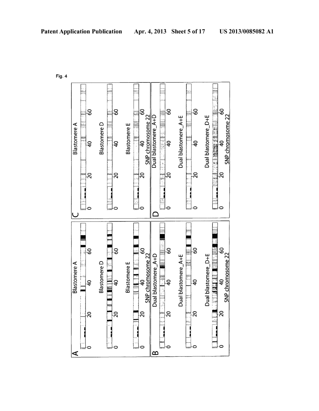 METHODS FOR HAPLOTYPING SINGLE CELLS - diagram, schematic, and image 06