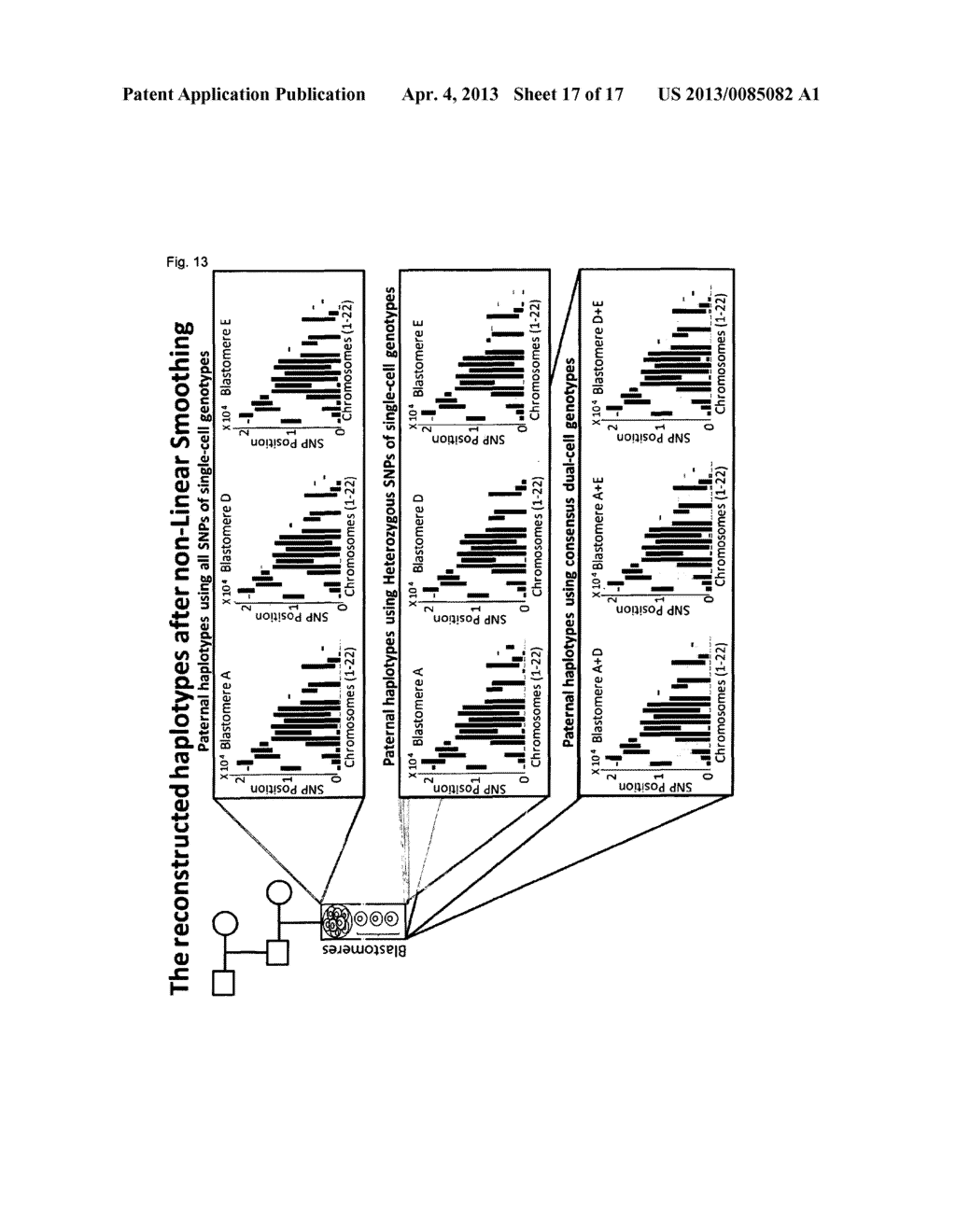 METHODS FOR HAPLOTYPING SINGLE CELLS - diagram, schematic, and image 18