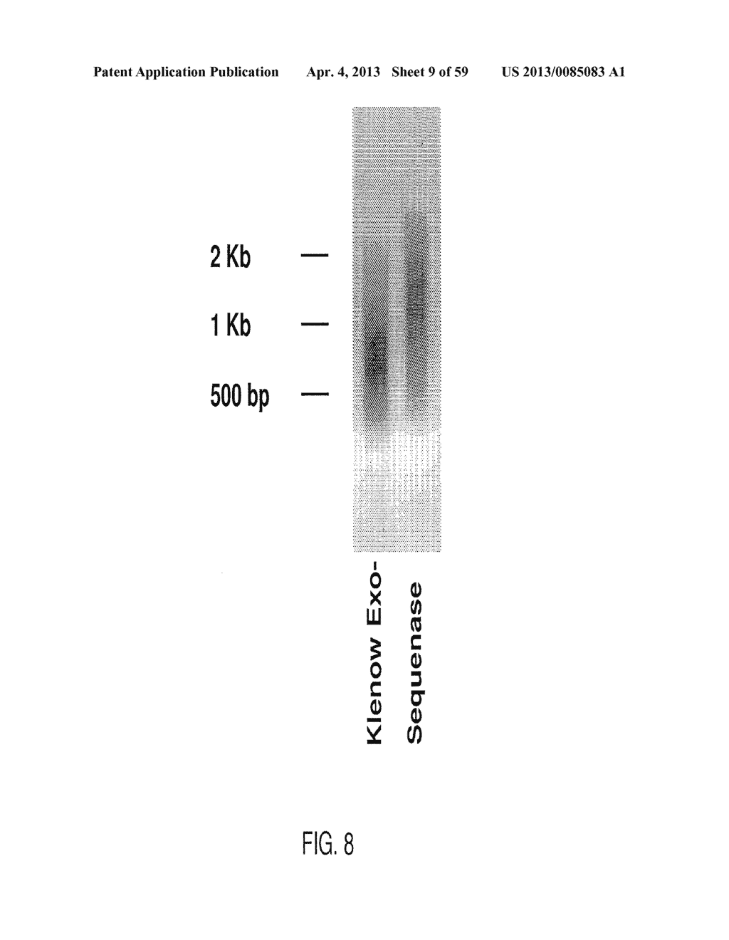 SUBSTANTIALLY NON-SELF COMPLEMENTARY PRIMERS - diagram, schematic, and image 10