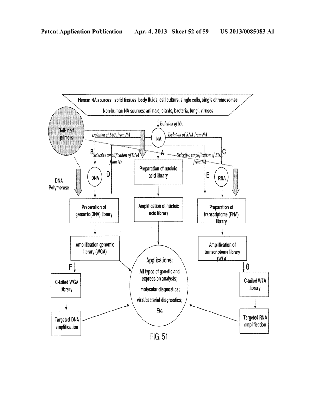 SUBSTANTIALLY NON-SELF COMPLEMENTARY PRIMERS - diagram, schematic, and image 53