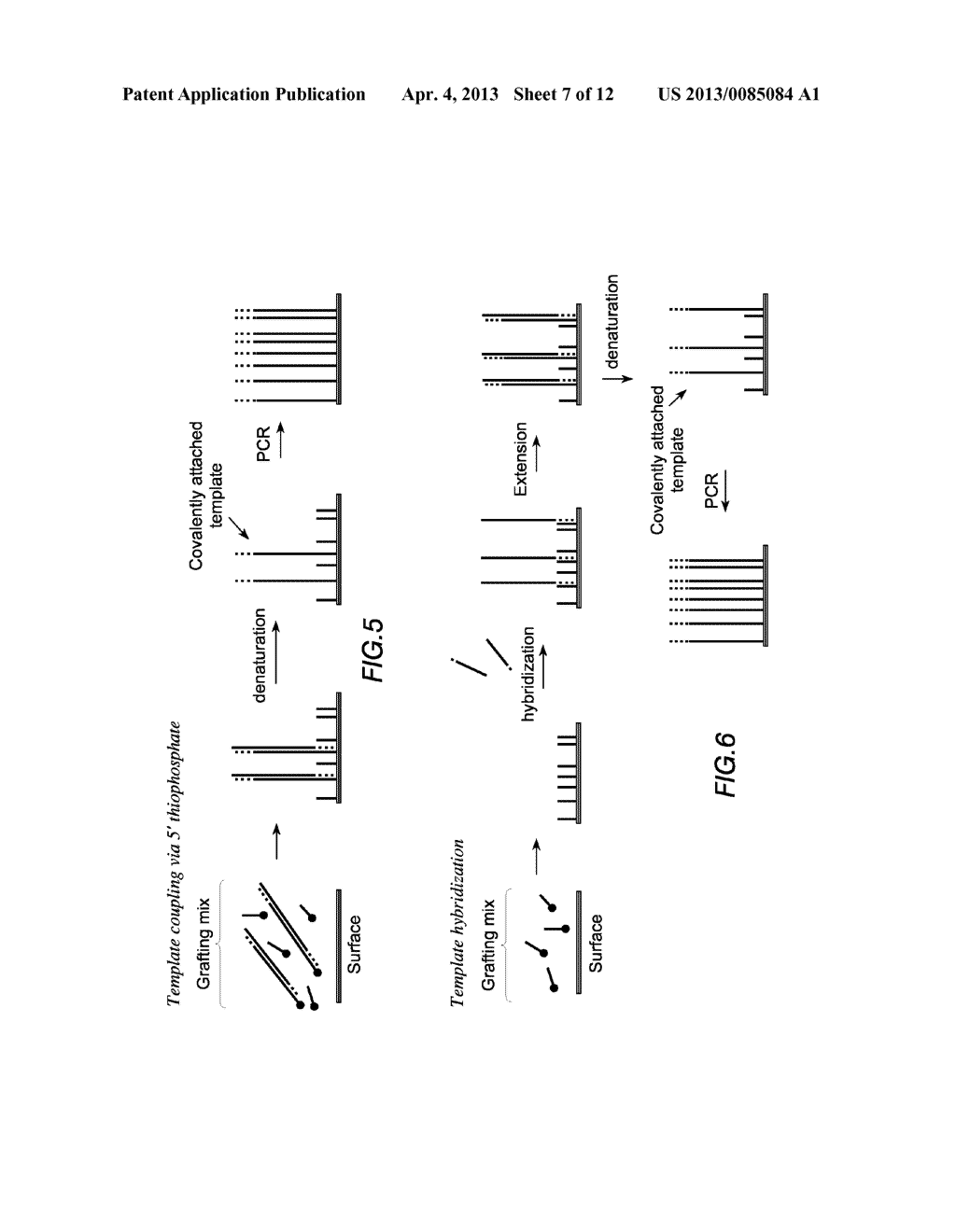 Modified Molecular Arrays - diagram, schematic, and image 08