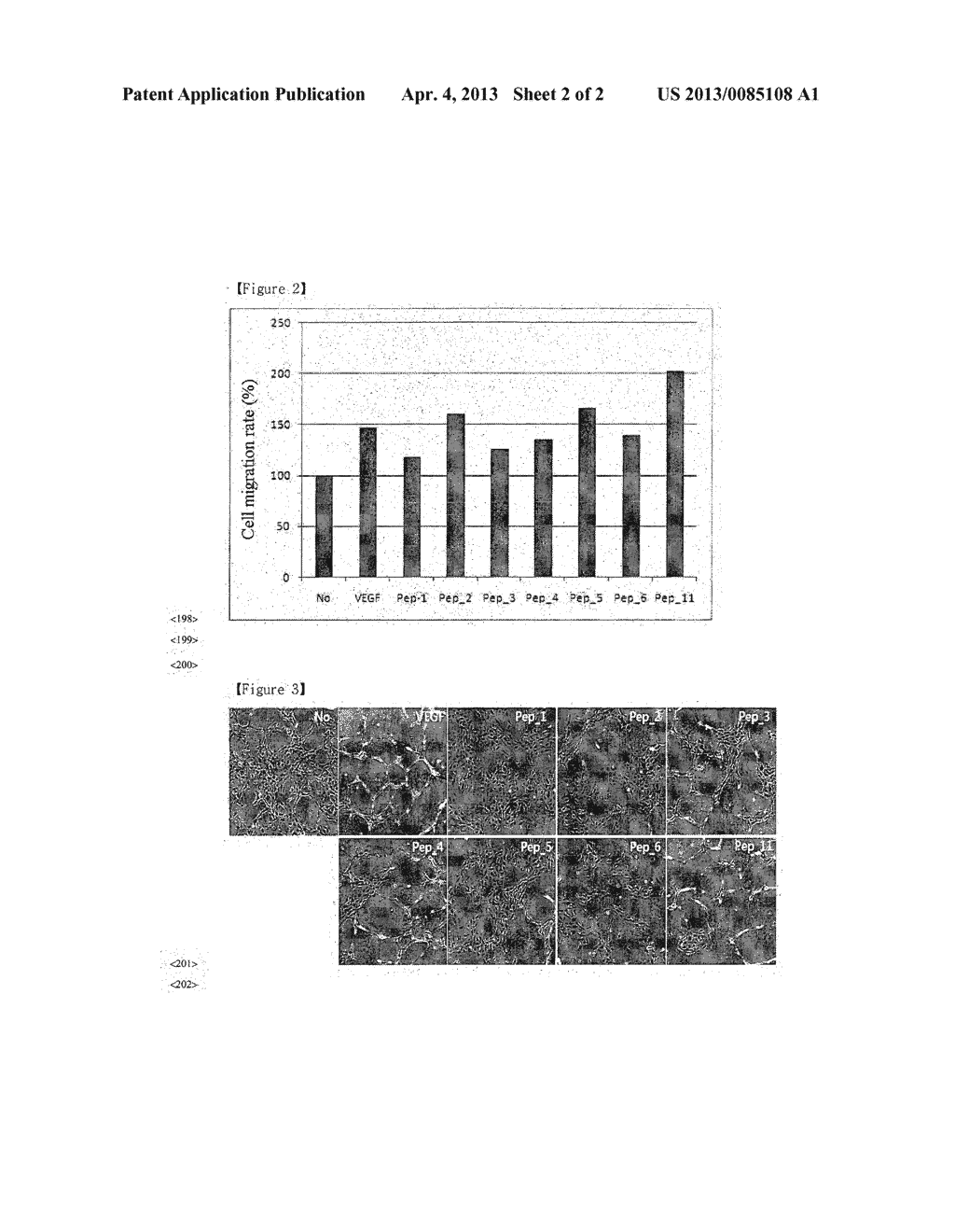 PEPTIDES FOR PROMOTING ANGIOGENESIS AND AN USE THEREOF - diagram, schematic, and image 03