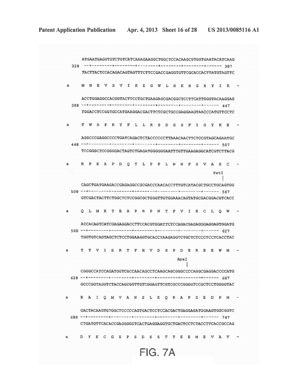 COMPOSITIONS INCLUDING TRICIRIBINE AND EPIDERMAL GROWTH FACTOR RECEPTOR     INHIBITOR COMPOUNDS OR SALTS THEREOF AND METHODS OF USE THEREOF - diagram, schematic, and image 17