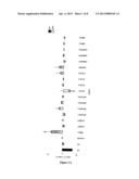 METHODS AND COMPOSITIONS COMPRISING AMPK ACTIVATOR     (METFORMIN/TROGLITAZONE) FOR THE TREATMENT OF MYOTONIC DYSTROPHY TYPE 1     (DM1) diagram and image